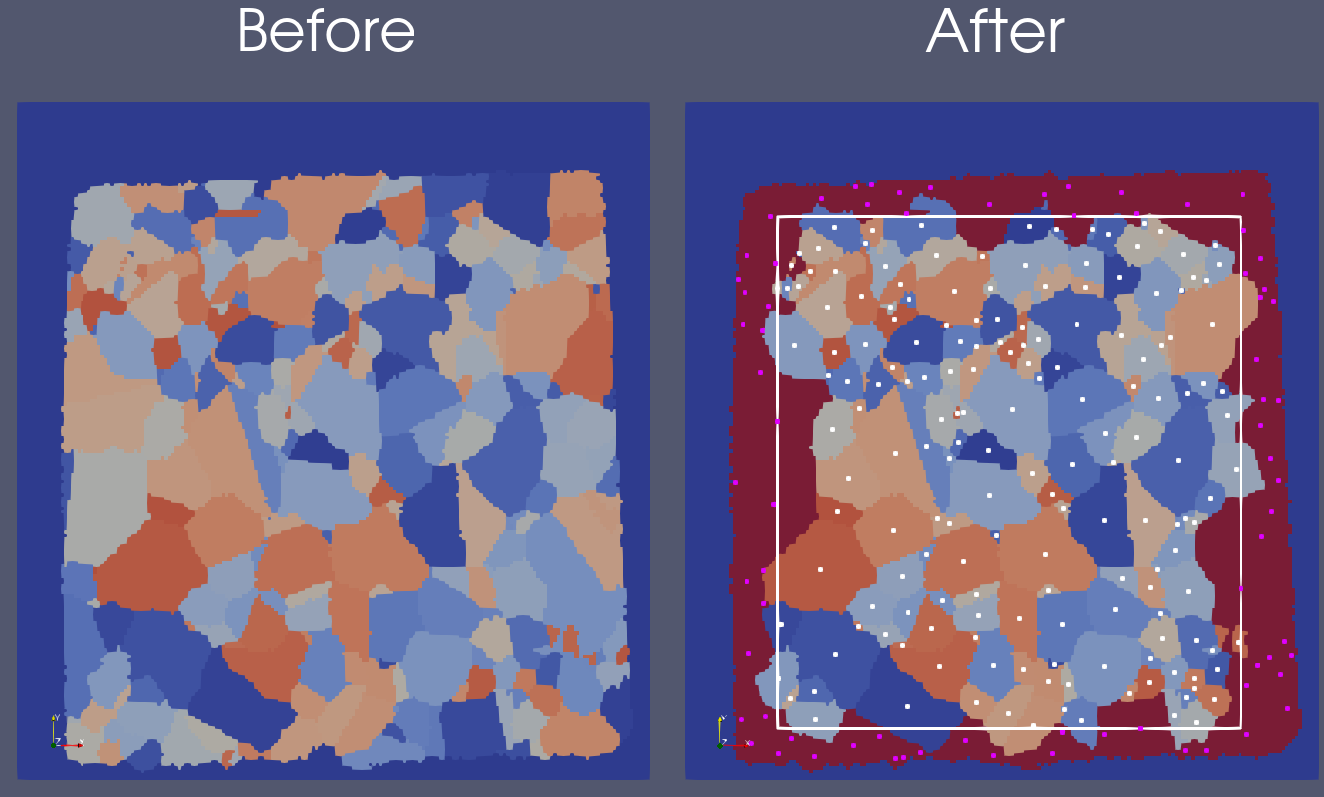 2D Before and After Biased Features